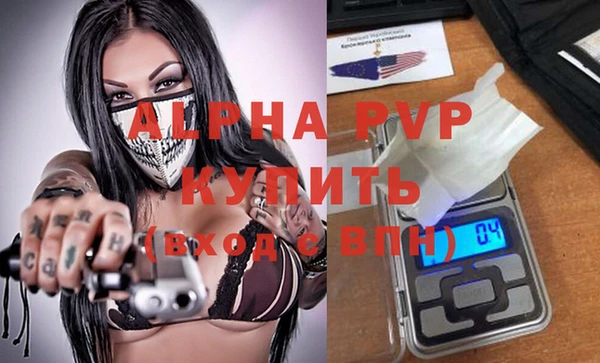 индика Балахна